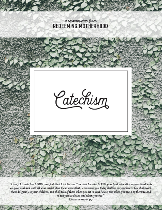 Catechism Family Study